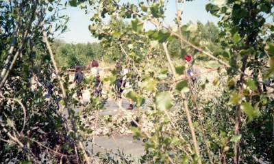 Riabitare la Terra | dalla Nature Restoration Law al pianeta come Casa comune